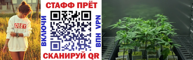Магазин наркотиков Дагестанские Огни Марихуана  Мефедрон  АМФ  ГАШ  Codein  А ПВП 