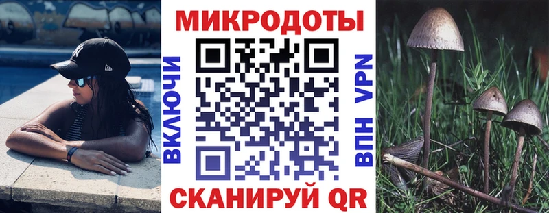 Галлюциногенные грибы Psilocybe  Дагестанские Огни 